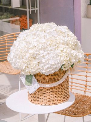 Cesta de Hortensias